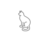 Котки
