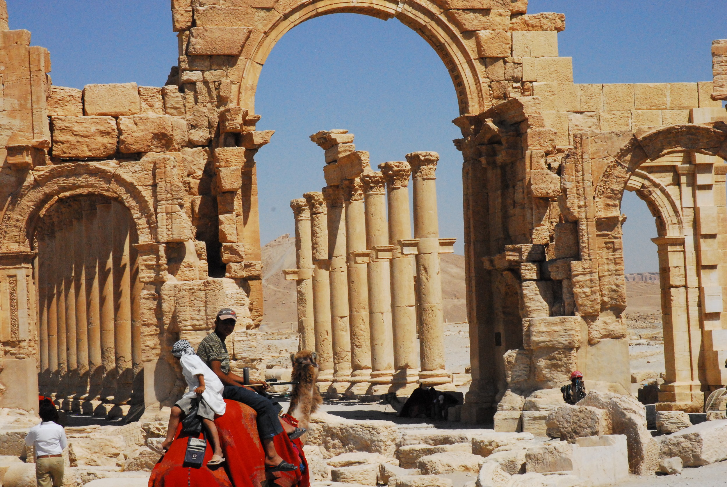 danti_camel_palmyra.jpg