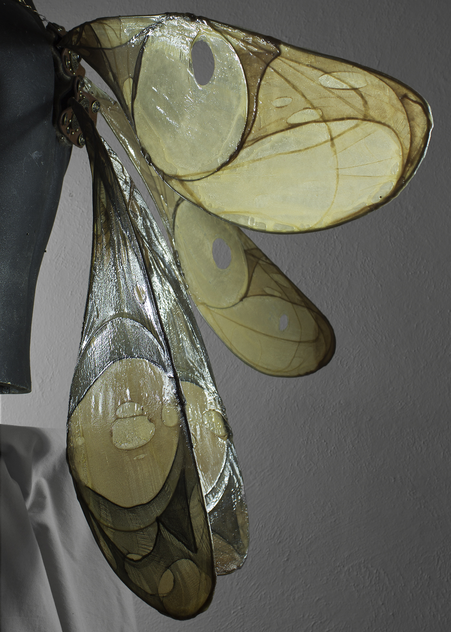 Mask_Wings_insect.jpg